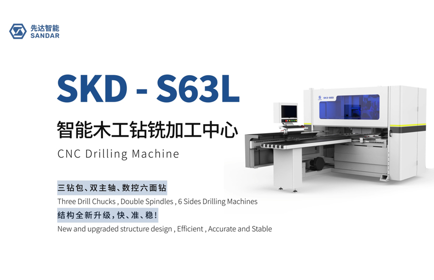 SKD-S63L 先达智能木工钻铣加工中心